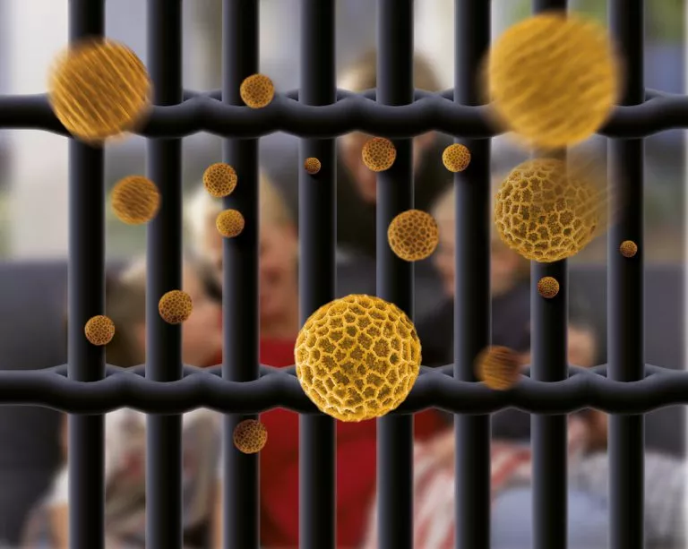 abcrgb_150_Pollengitter_mikroskopisch_Neher